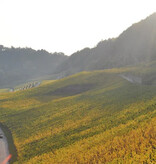 Château Pauqué Riesling Goldberg 2022