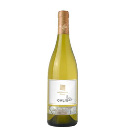 Galil Mountain Alon White 2021
