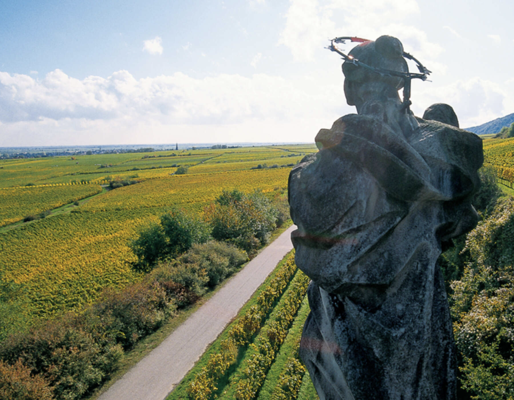 Spindler Lindenhof Gewürztraminer 2021