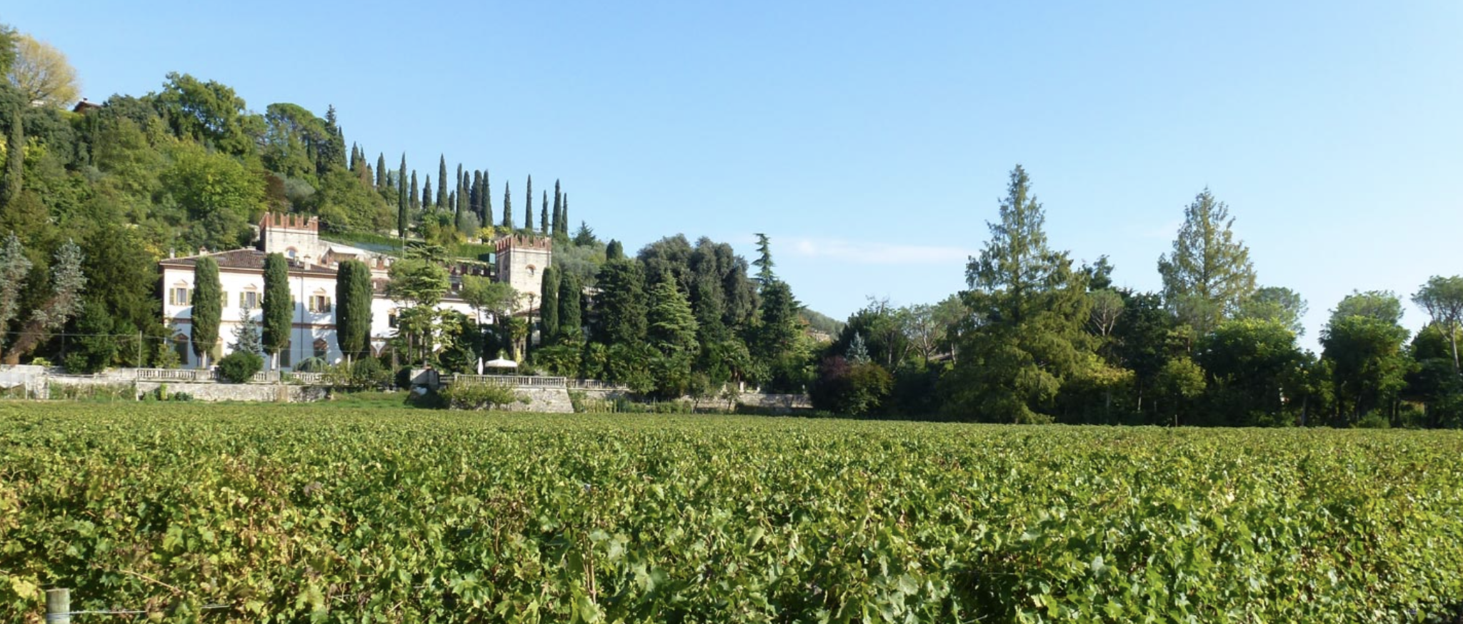 Monte Cillario Amarone della Valpolicella Riserva DOCG 2013