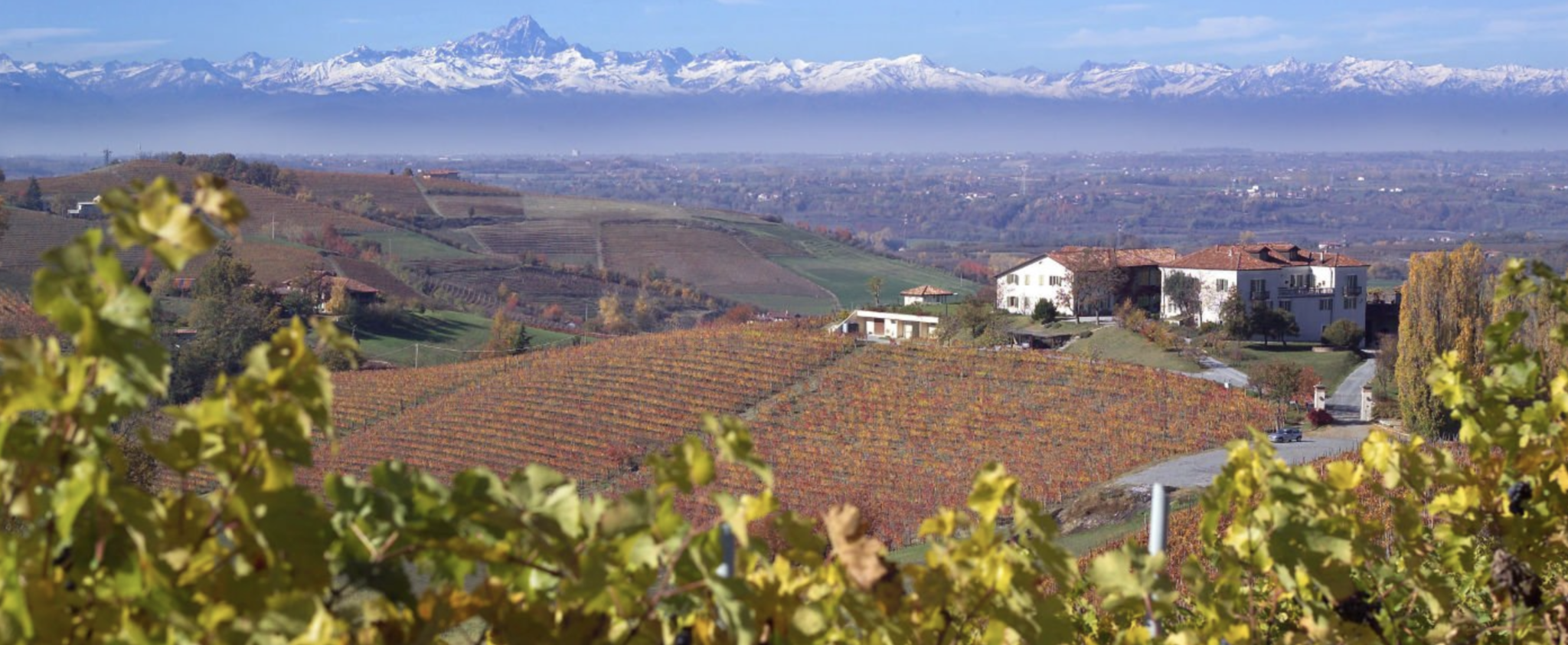 Luigi Einaudi Barolo Cannubi 2019