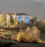 Luigi Einaudi Moscato d'Asti 2021