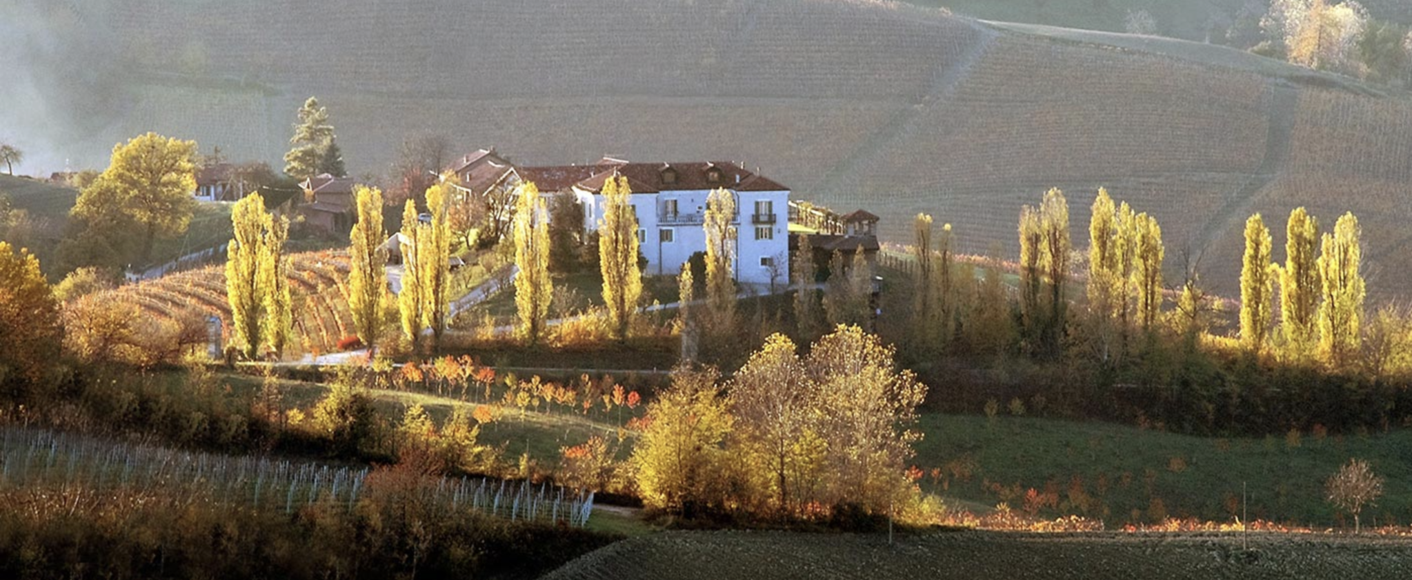 Luigi Einaudi Moscato d'Asti 2025