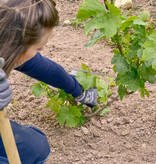 Domaine Romanesca Moulin a Vent La Rochelle 2020/22