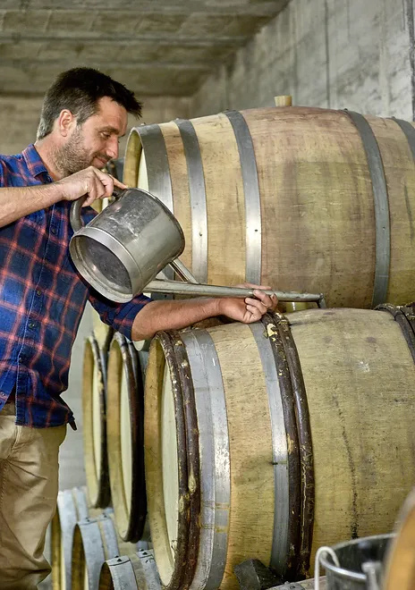 Domaine Romanesca Morgon Château Gaillard 2022