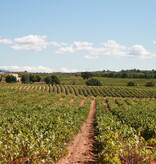 Bodegas Nodus Bobal 2022