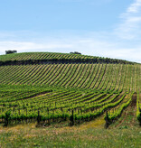 Herdade do Rocim Olho de Mocho Branco Reserva 2022