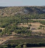 Kolonne Null Edition Diez Siglos Verdejo 2025