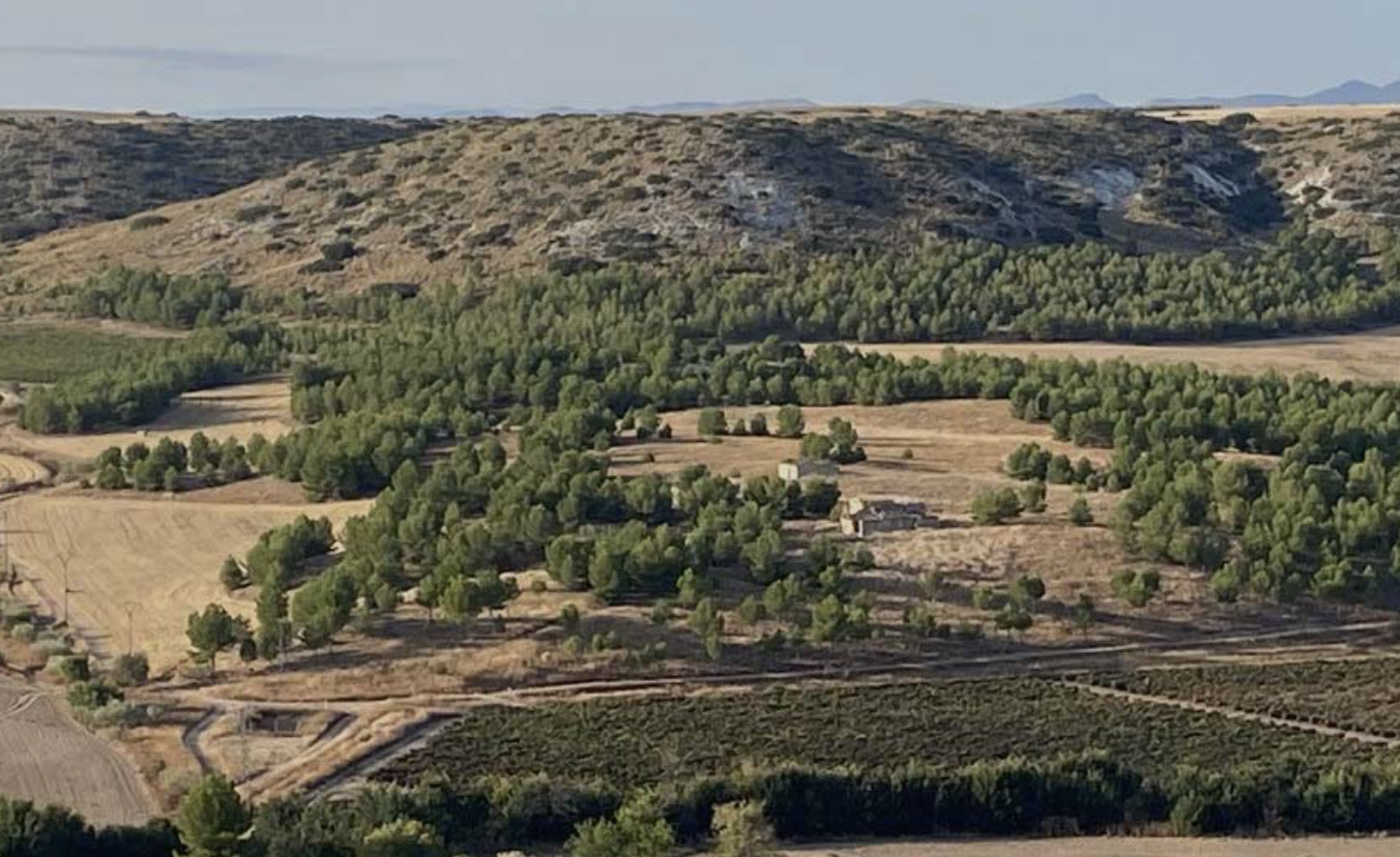 Kolonne Null Edition Diez Siglos Verdejo 2025