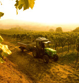 Weingut Weixelbaum Ried Gaisberg Erste Lage Riesling 2021