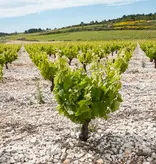 Calmel & Joseph Villa Blanche Chardonnay 2025