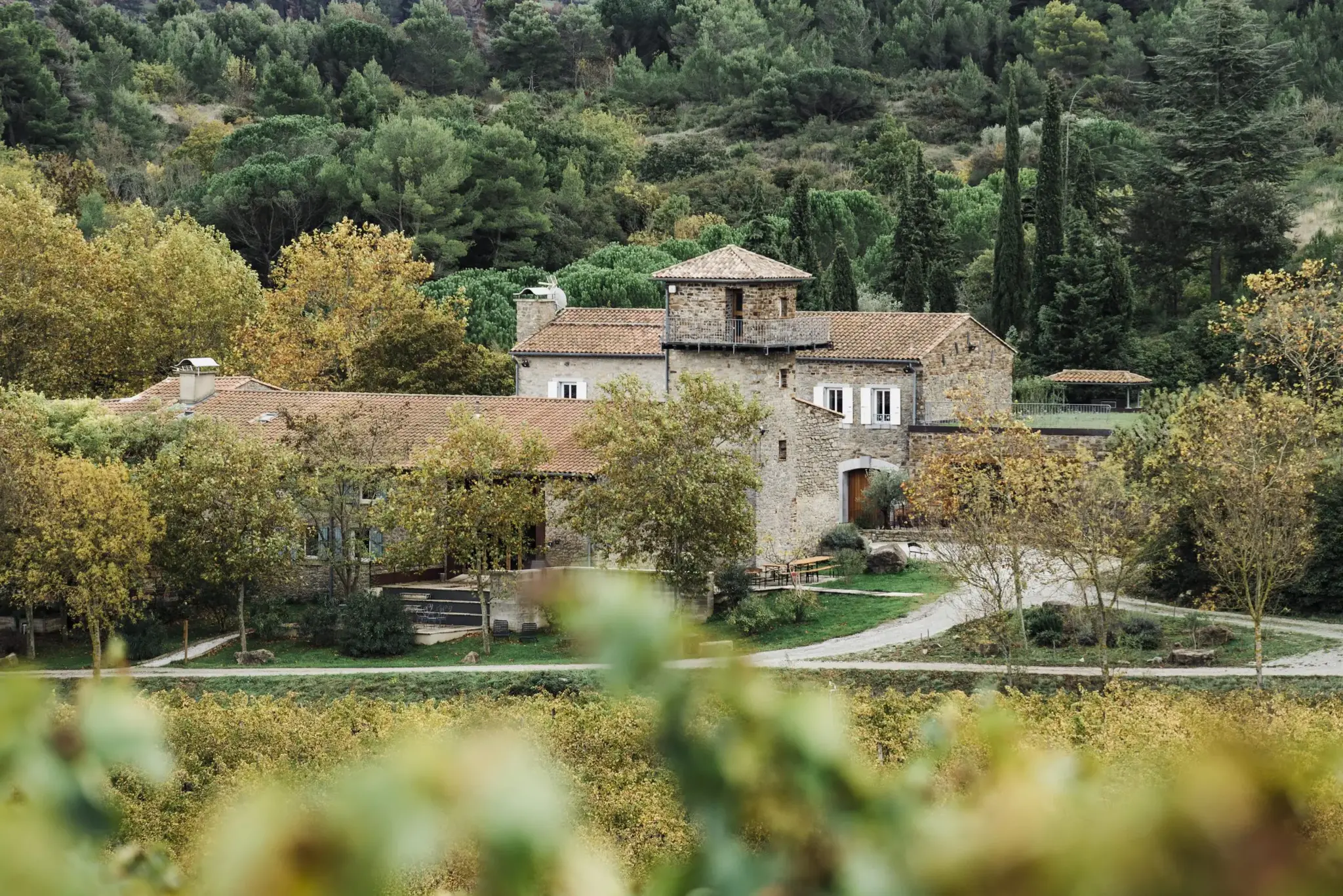 Calmel & Joseph Villa Blanche Viognier 2023