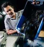 Calmel & Joseph Villa Blanche Syrah 2024