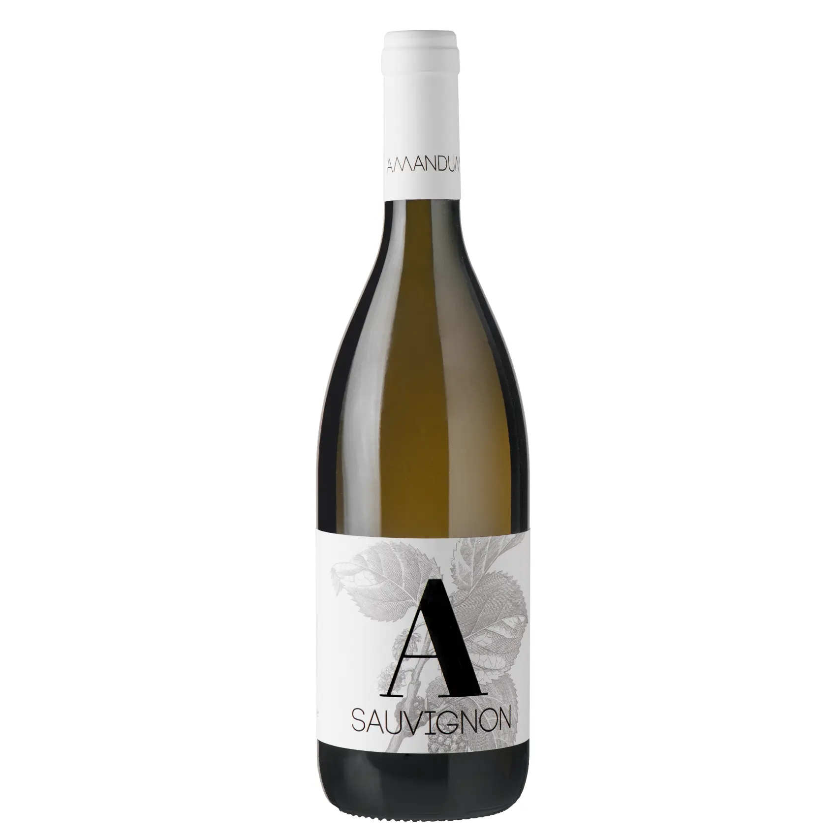 Amandum Sauvignon 2020