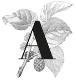 Amandum Sauvignon 2020