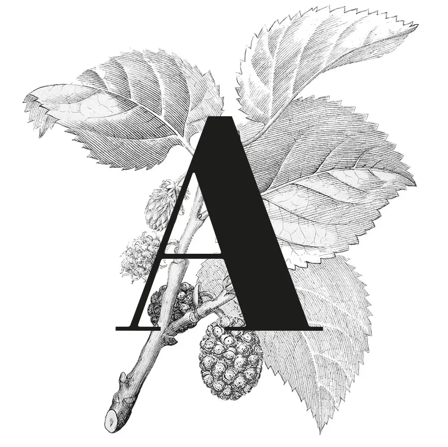 WEEKAANBIEDING | Amandum Sauvignon 2020