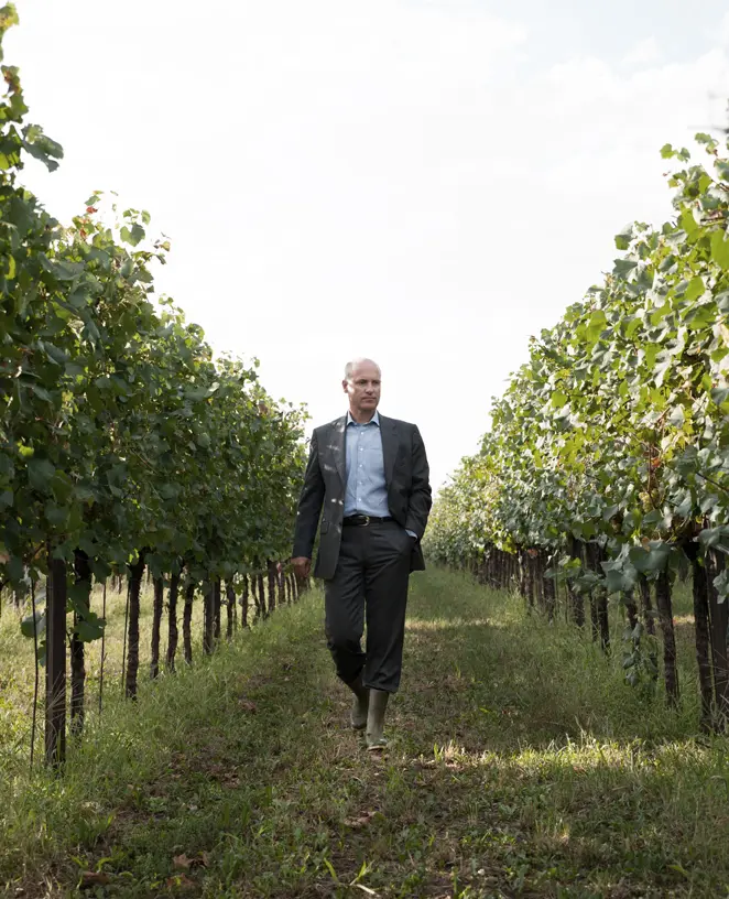 WEEKAANBIEDING | Amandum Sauvignon 2020
