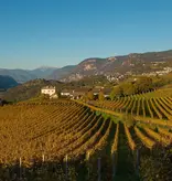 Weingut J. Hofstätter Pinot Bianco 2025
