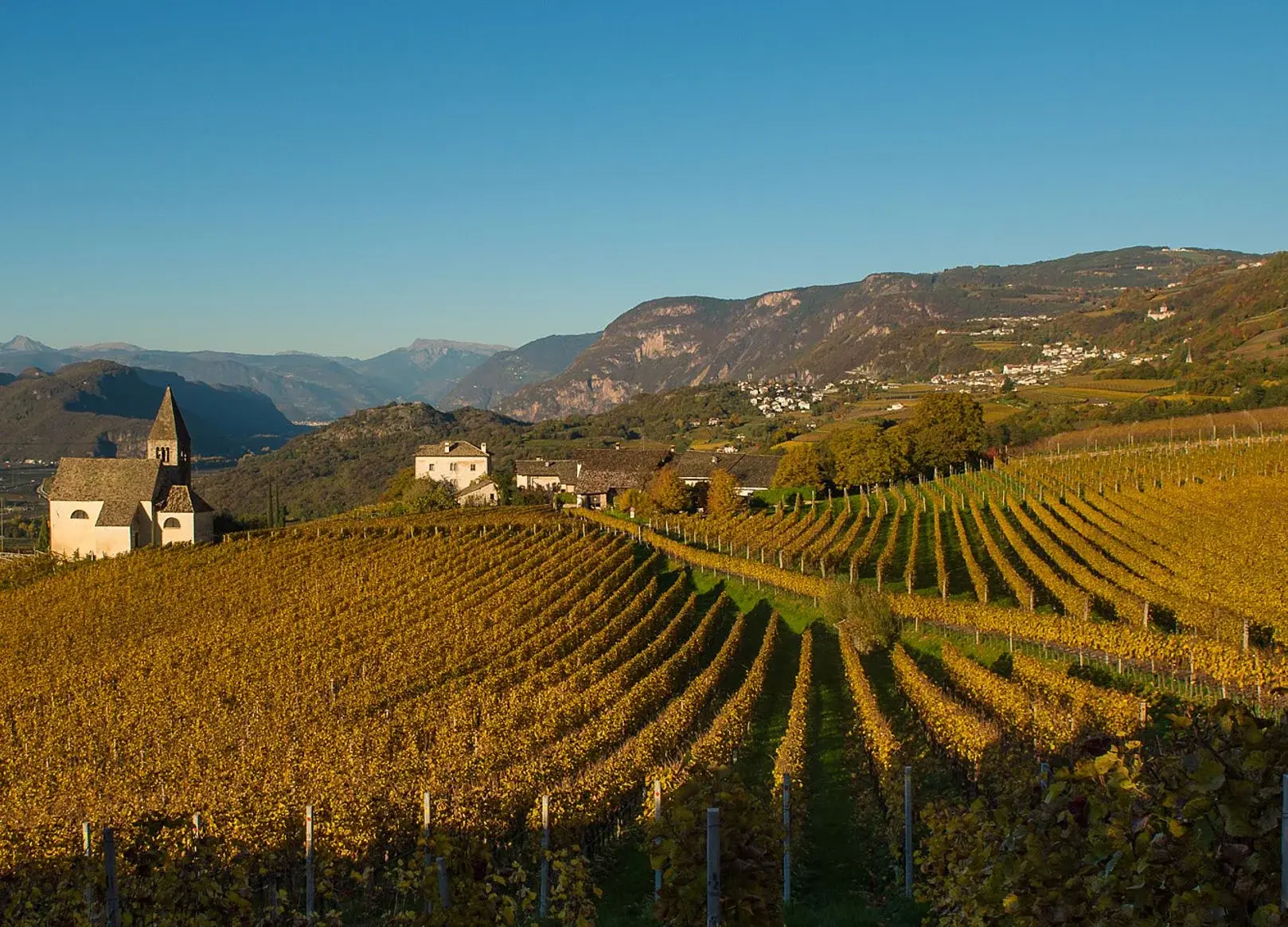 Weingut J. Hofstätter Pinot Bianco 2025