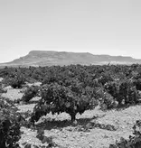 Santa Cruz Cueva del Chamán Garnacha Tintorera Bio 2020