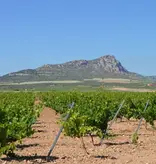 Santa Cruz Cueva del Chamán Verdejo Bio 2024