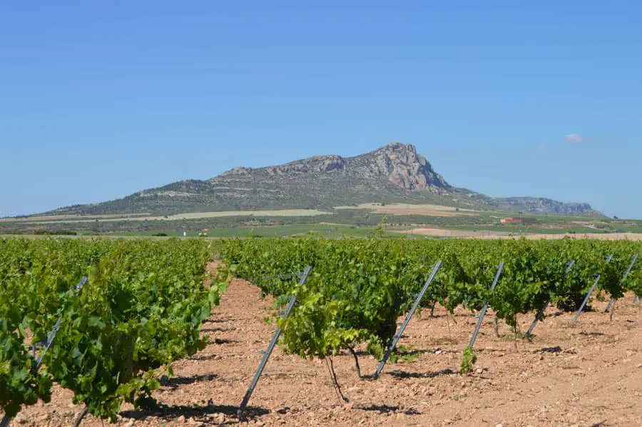 Santa Cruz Cueva del Chamán Verdejo Bio 2025