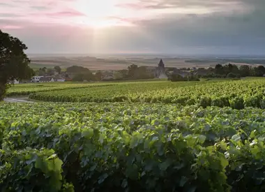 Domaine Collet Champagne
