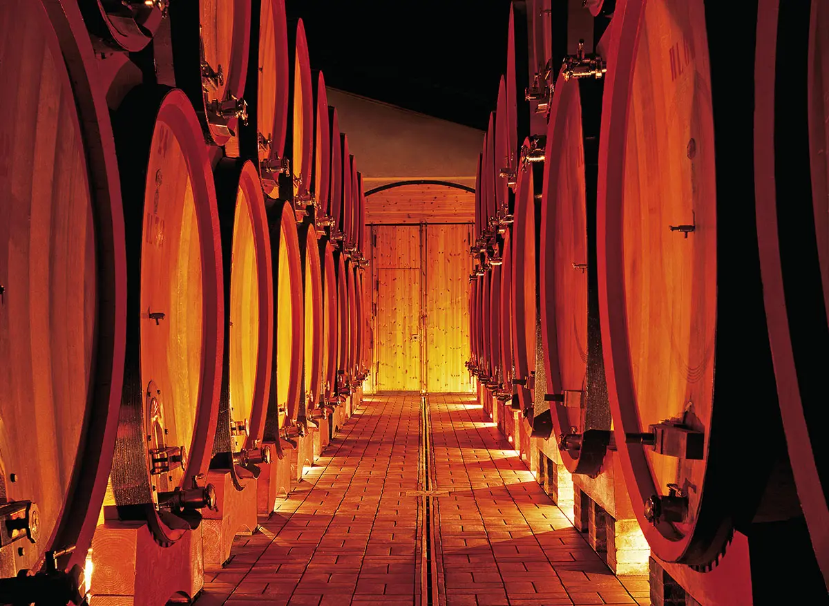 Tenuta di Sesta Camponovo 2020