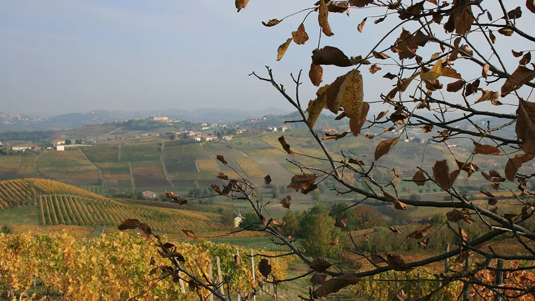 Villa Giadi Dani Nizza DOCG 2020