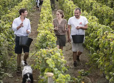 Domaine de Châtenoy