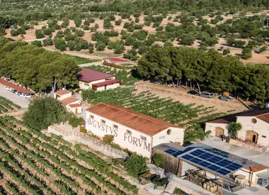 Cellers Avgvstvs Forvm 