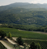 San Salvatore GIOÌ Spumante Brut Rosé Vintage 2020 Extreme