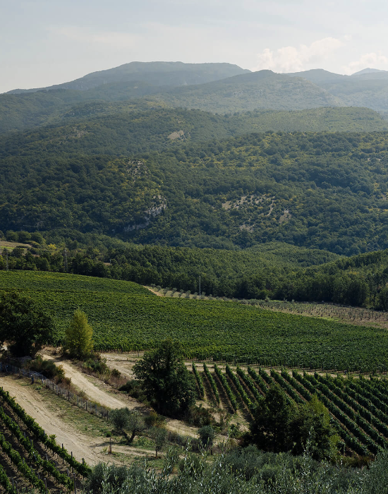 San Salvatore GIOÌ Spumante Brut Rosé Vintage 2020 Extreme