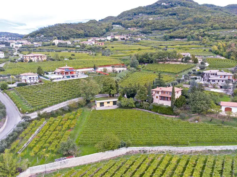 DolceVera Amarone della Valpolicella Classico 2017