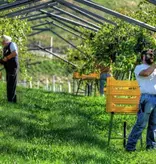 DolceVera Valpolicella Classico 2023