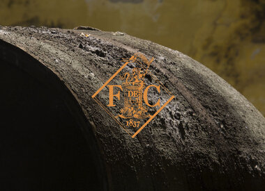 Fernando de Castilla