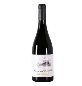 Santa Cruz Cueva del Chamán Roble Monastrell Bio 2022