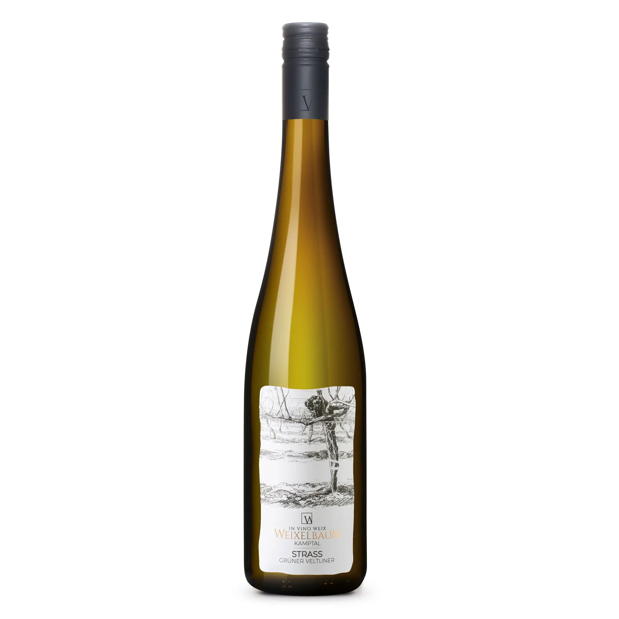 WEEKAANBIEDING | Weingut Weixelbaum Strass Grüner Veltliner Kamptal DAC 2024