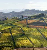 Negretti Negretti Langhe Nebbiolo Minot 2021