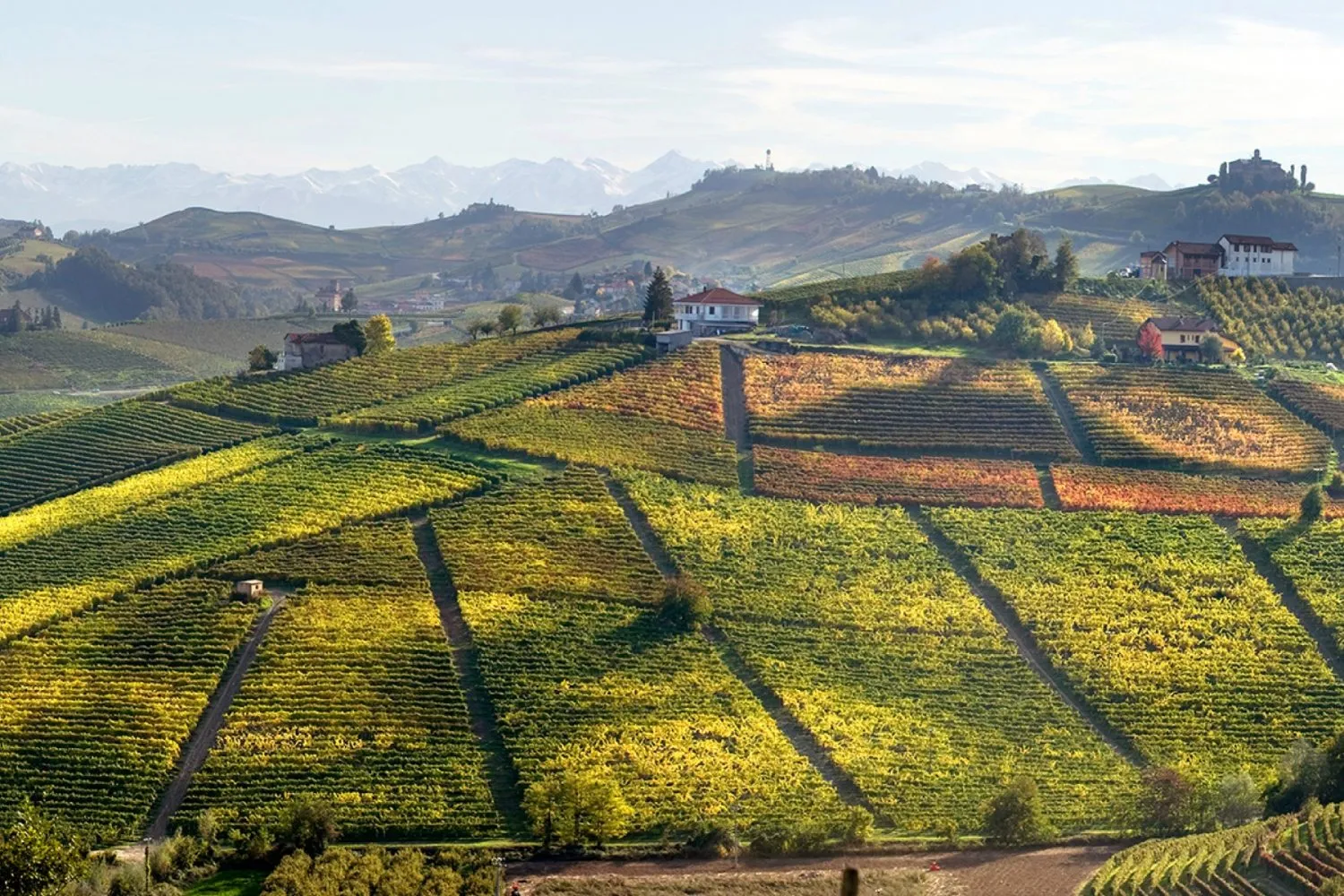 Negretti Negretti Langhe Nebbiolo Minot 2021