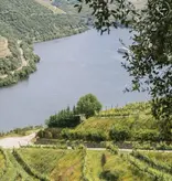 Quinta do Pôpa Contos da Terra Branco 2024