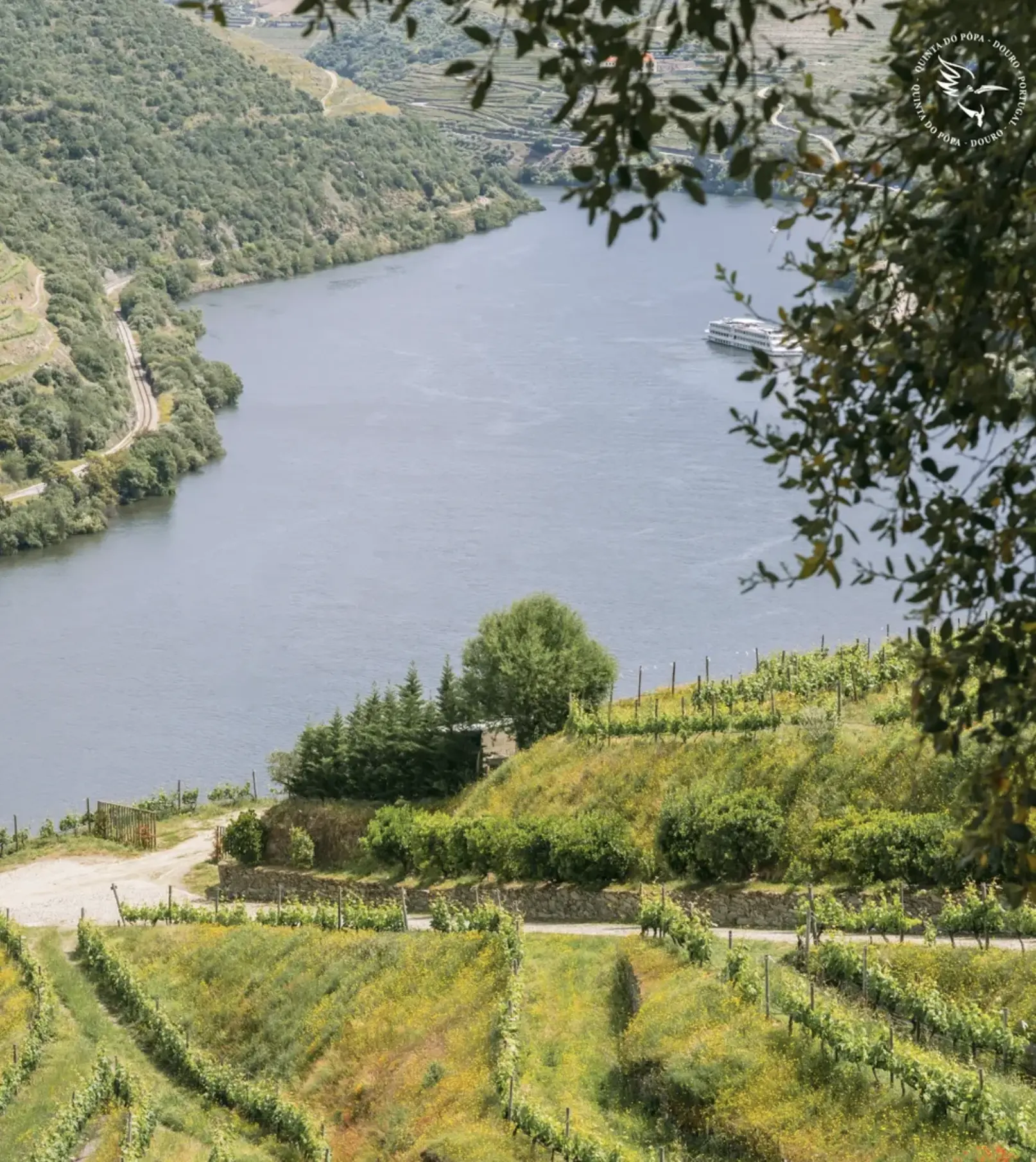 Quinta do Pôpa Contos da Terra Branco 2024