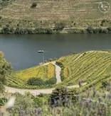 Quinta do Pôpa Contos da Terra Tinto 2023