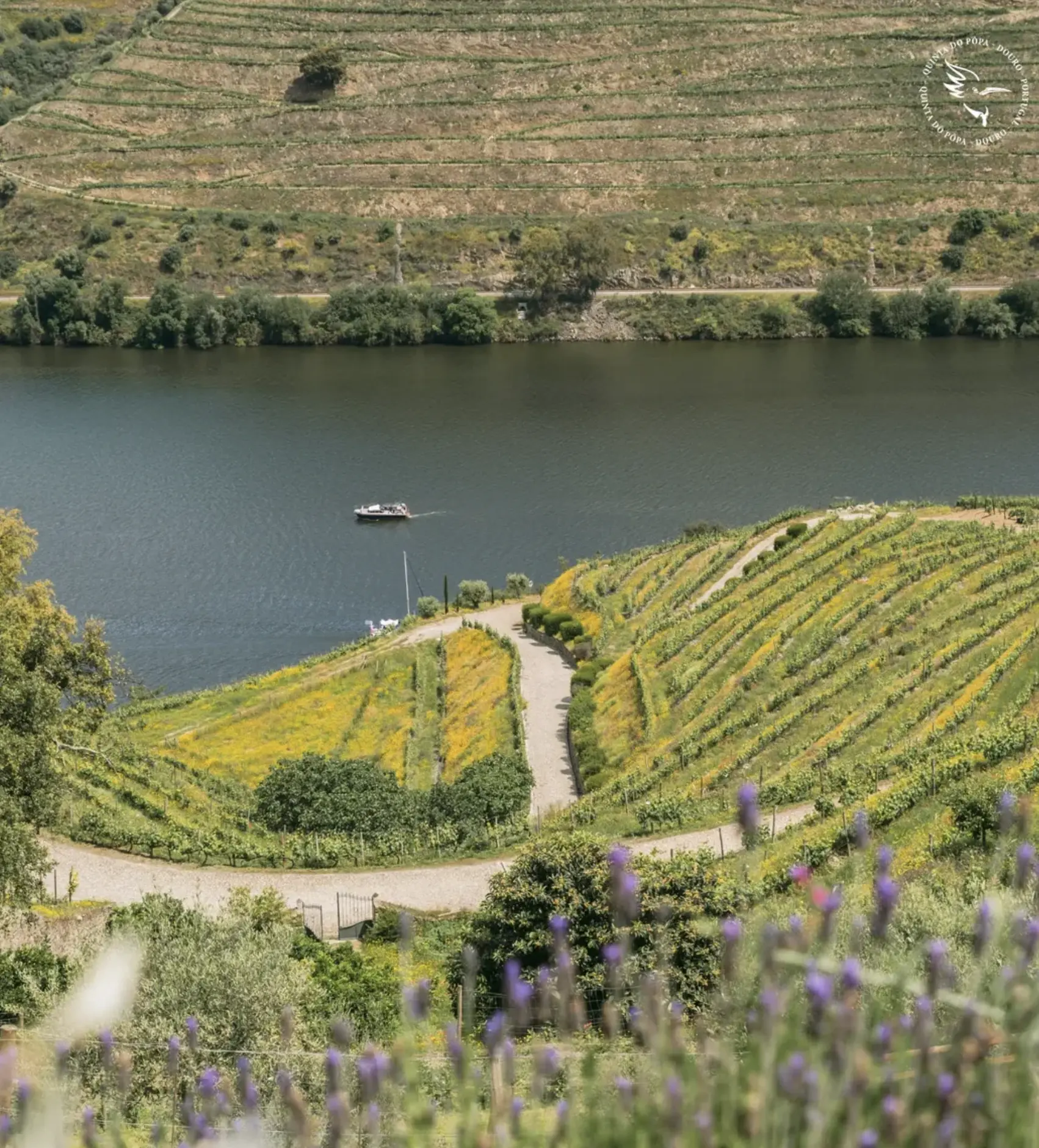 Quinta do Pôpa Contos da Terra Tinto 2023