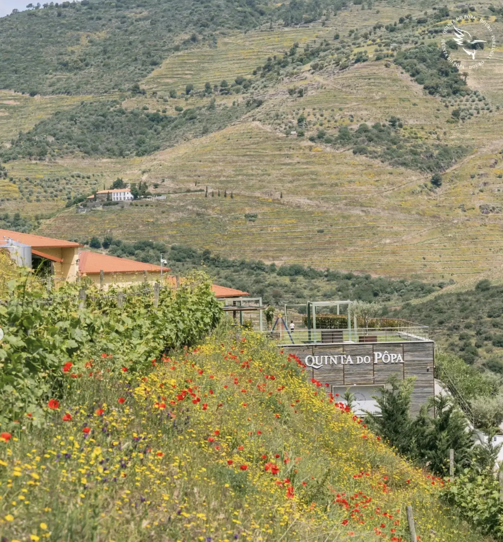 Quinta do Pôpa Selection Rosé 2024