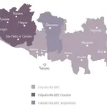 Corte Volponi  Amarone Della Valpolicella Classico DOCG 2019