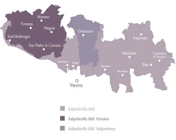 Corte Volponi  Amarone Della Valpolicella Classico DOCG 2019