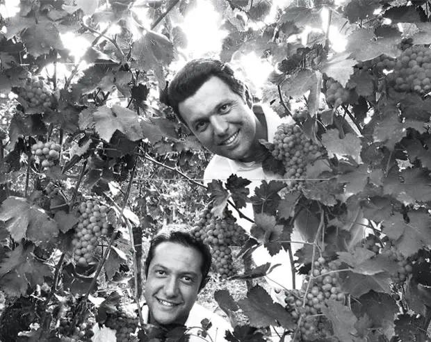 Corte Volponi  Amarone Della Valpolicella Classico Reserve DOCG 2016