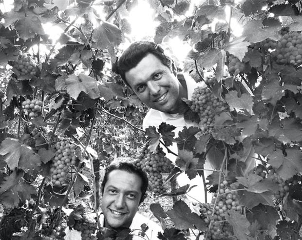 Corte Volponi  Amarone Della Valpolicella Classico DOCG 2019