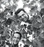 Corte Volponi  Valpolicella Ripasso Superiore DOC 2022
